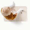 GMICCAF, Cafe Stripe