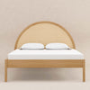 M25996HYNC,Babyletto Kids,Bondi Cane Full Bed in Honey