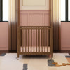 M30879NL,Babyletto,Rolli Midi Conversion Kit in Natural Walnut