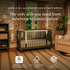 M33380AE,Babyletto,Nate Berkus x Babyletto Astre All-Stages® Crib w/Bassinet & Toddler Bed Kits in Archival Elm