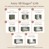 M33380AE,Babyletto,Nate Berkus x Babyletto Astre All-Stages® Crib w/Bassinet & Toddler Bed Kits in Archival Elm