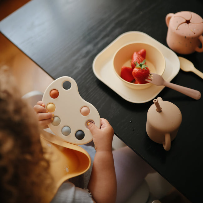 MDT-3001, Mushie Paint Palette Press Toy