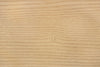 SWATCH265,Babyletto,Babyletto - Ash (SH) SWATCH