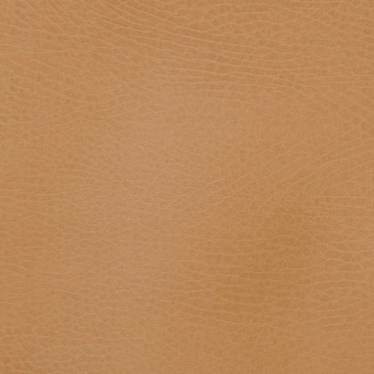 GCADMEDCAM, Camel