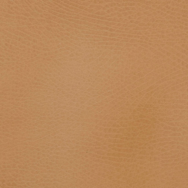 GCADMEDCAM, Camel