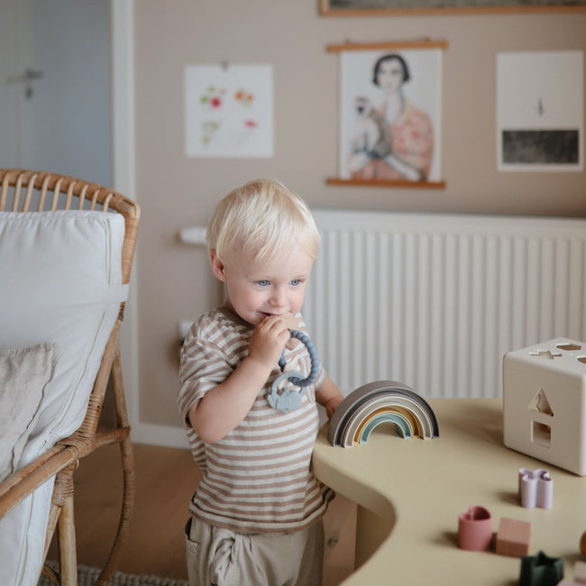 MTR-101, Mushie Teething Ring
